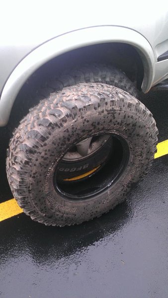 IMAG0052.jpg