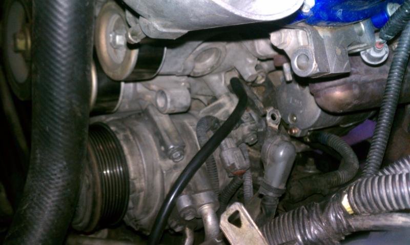 IMAG0056_56ac08b62f00734512e50205aa9c58ec77642673.jpg