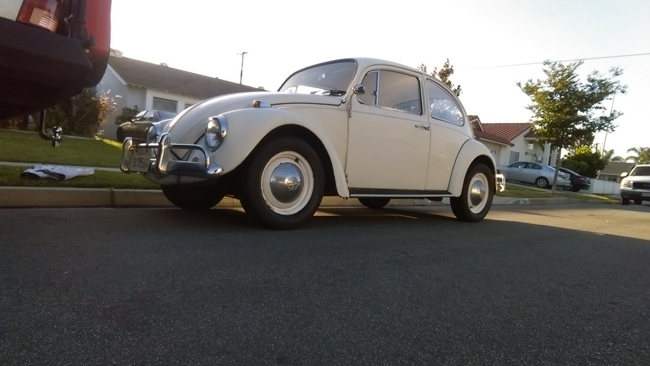 IMAG0070.jpg