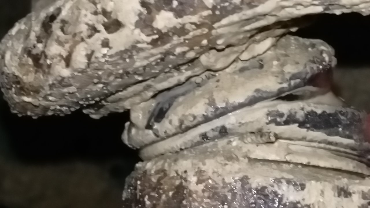 IMAG0070.jpg