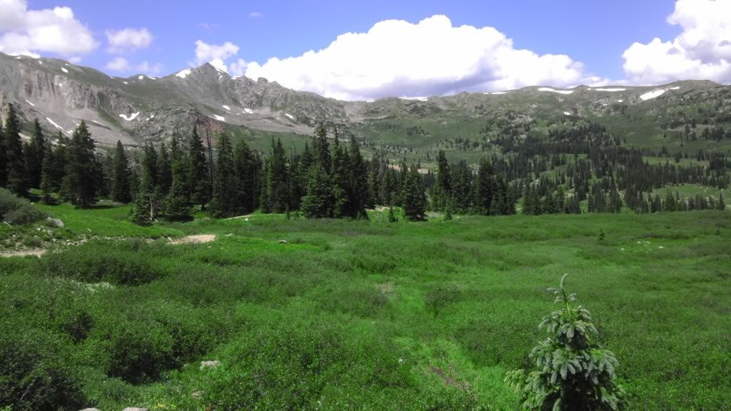 IMAG0084_ce6aea6a058963ff0a7a27fde28a06af827bc705.jpg