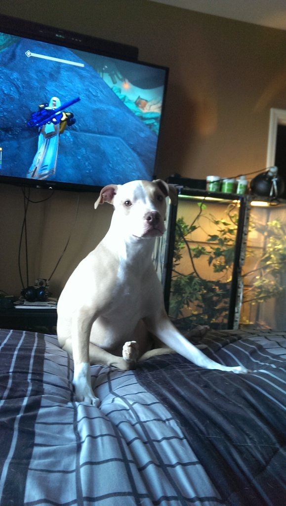 IMAG0099_zpsy1mug8px_37c826820e522d7fa04fdcb7264a8c187d49a29e.jpg