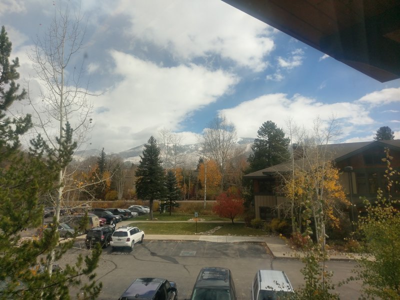 IMAG0114.jpg