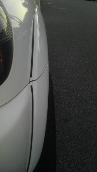 IMAG0117.jpg
