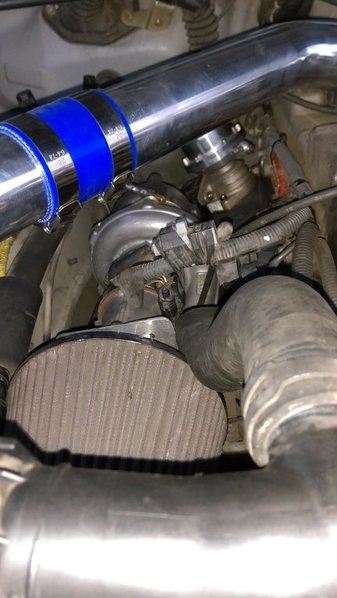 IMAG0127.jpg