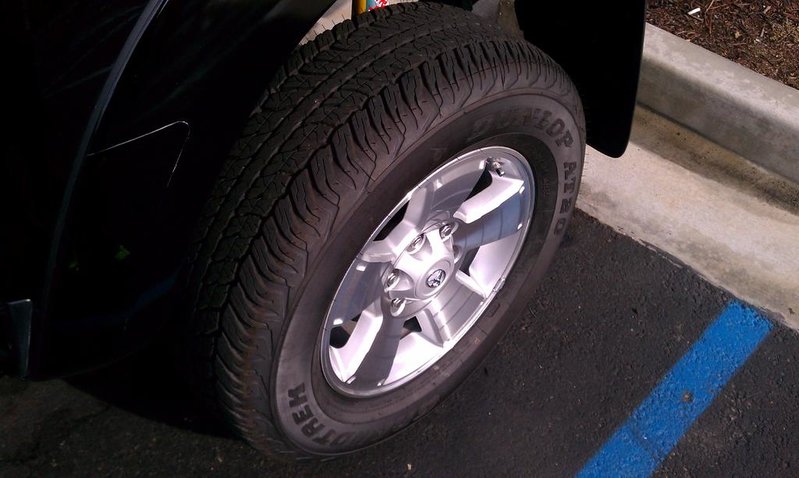 IMAG0132.jpg