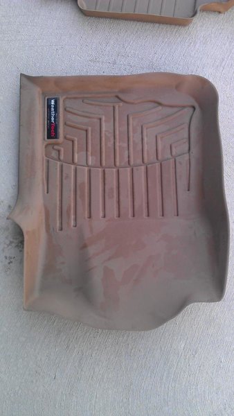 IMAG0137.jpg