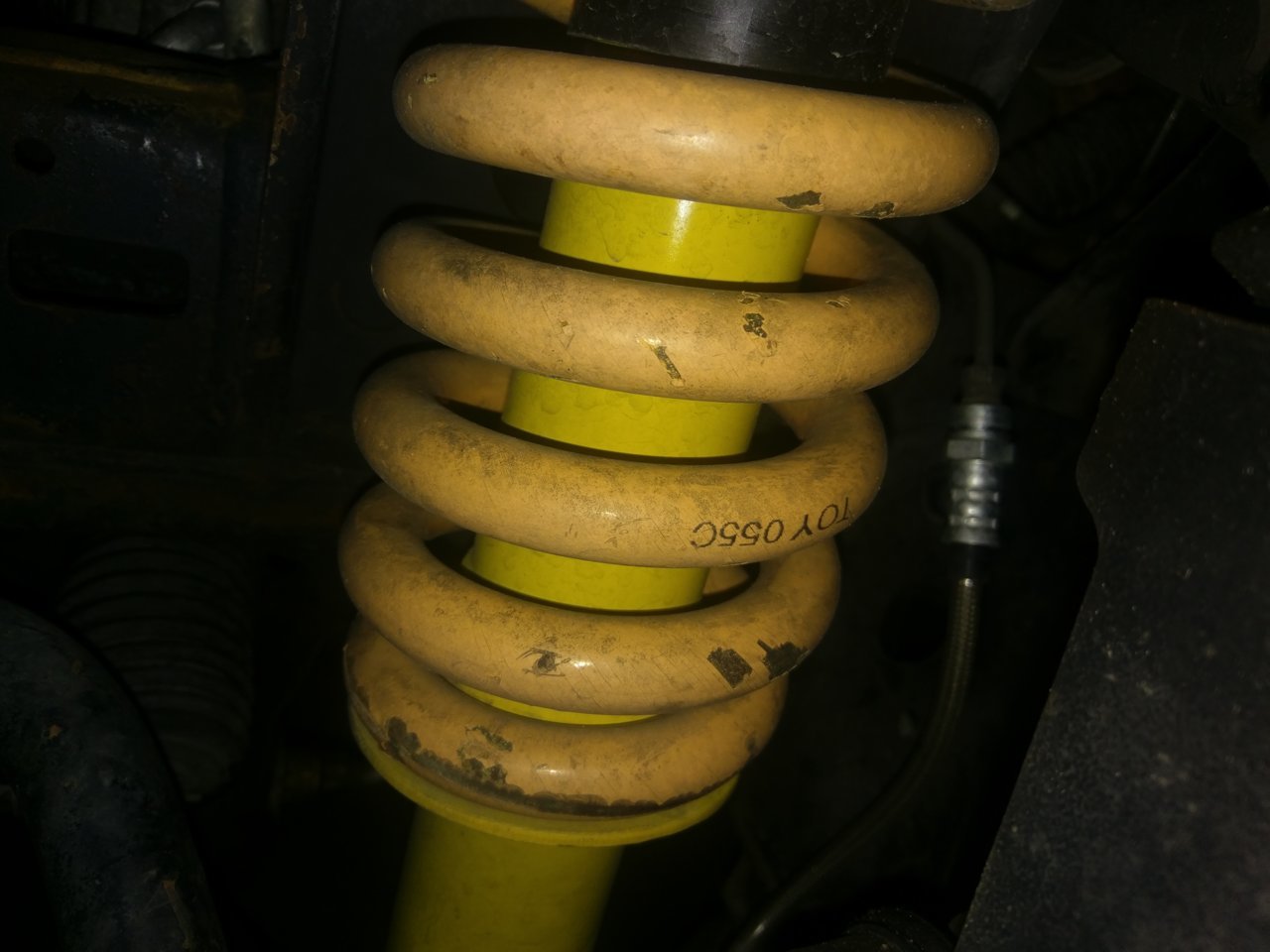 IMAG0138.jpg