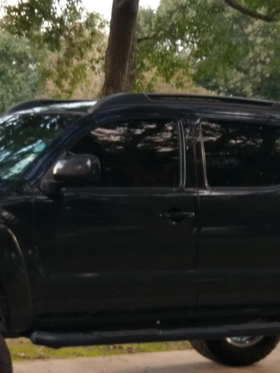 IMAG0151.jpg