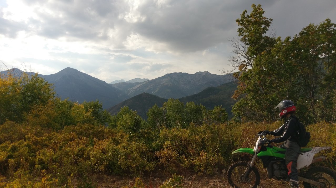 IMAG0154.jpg