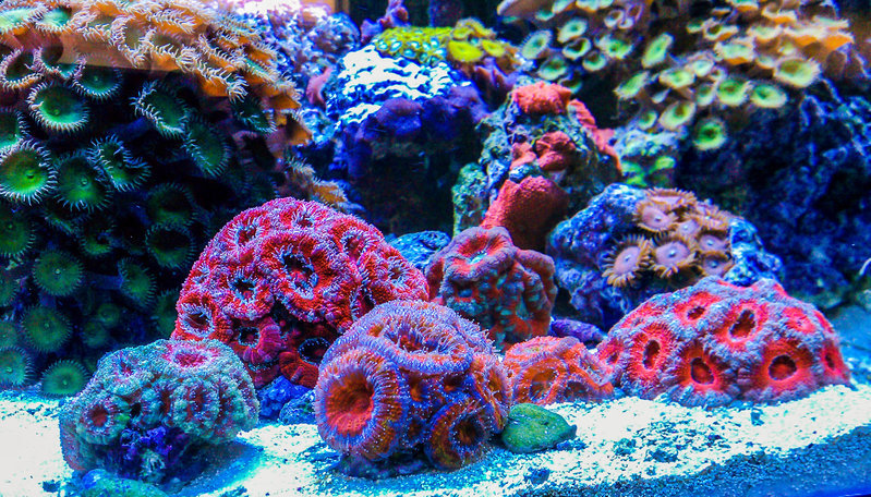 IMAG0156.jpg
