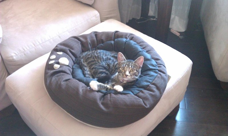 IMAG0158.jpg