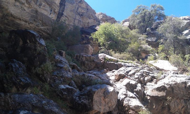 IMAG0174.jpg