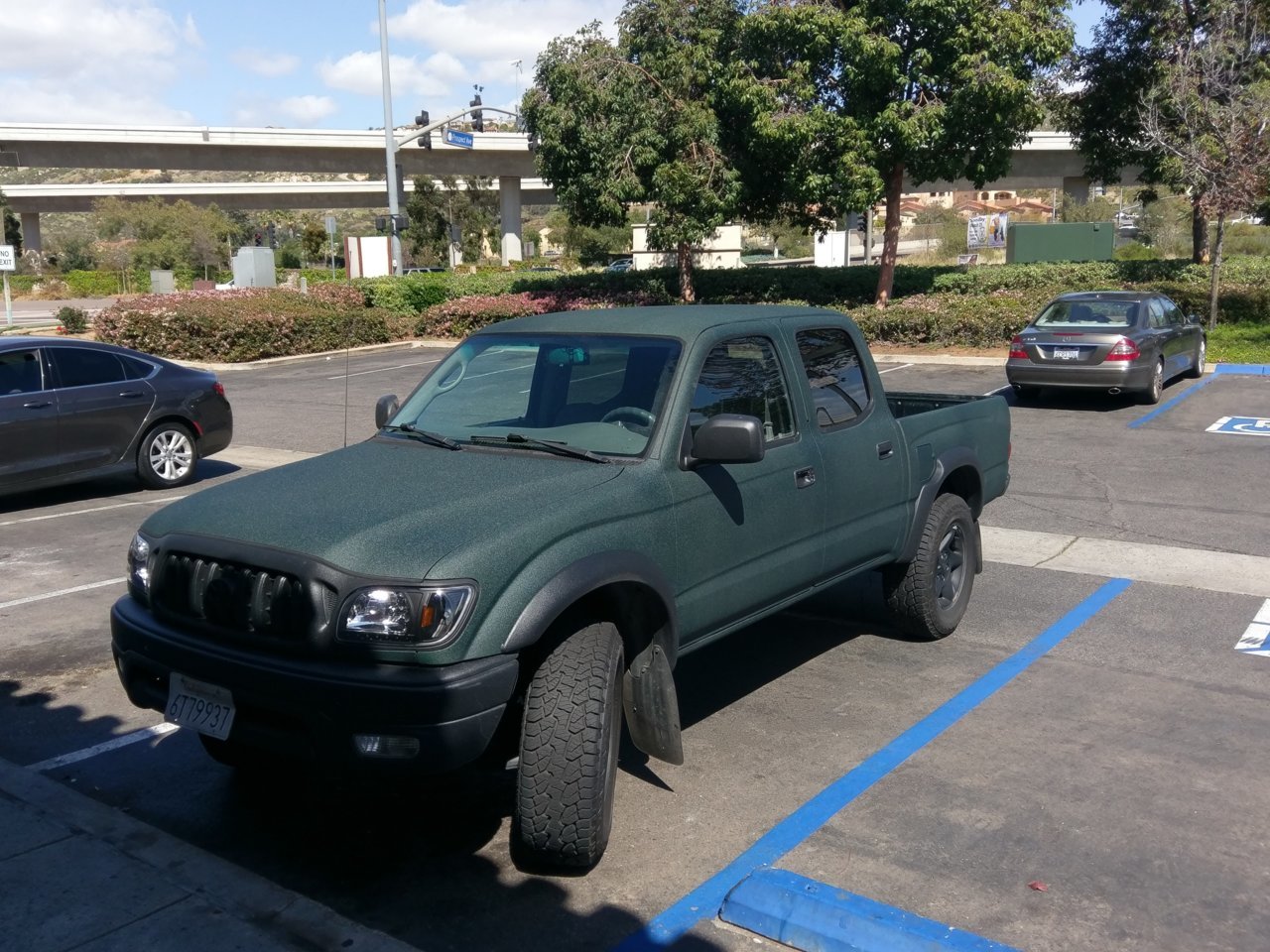 IMAG0193.jpg