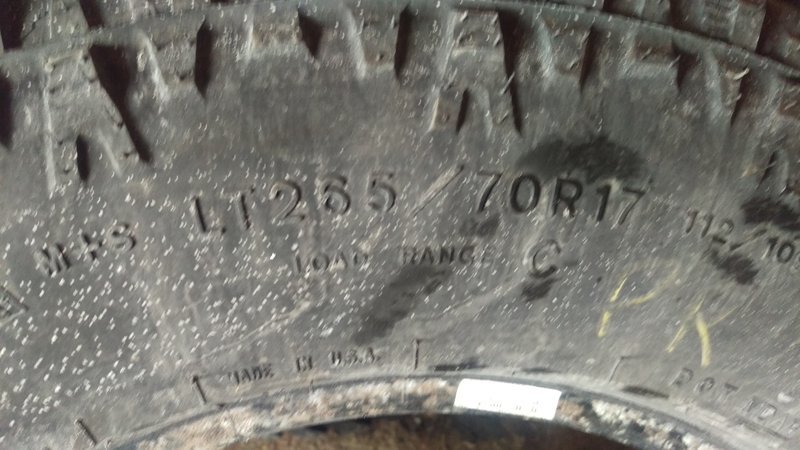 IMAG0197.jpg