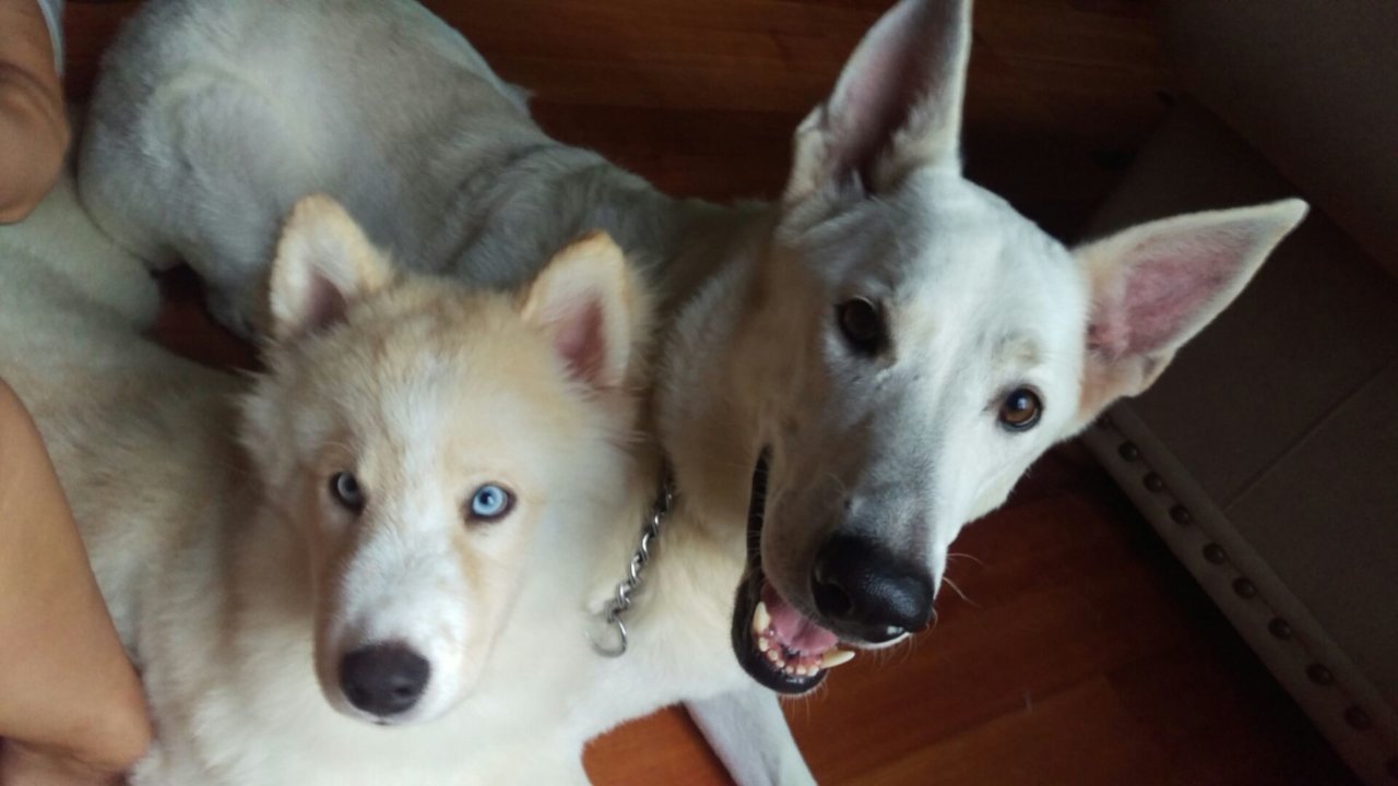 IMAG0199.jpg