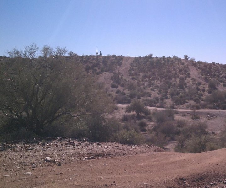 IMAG0214.jpg