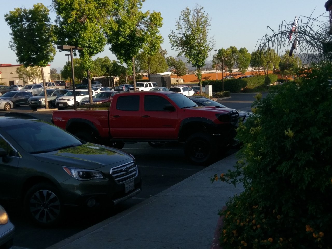 IMAG0219.jpg