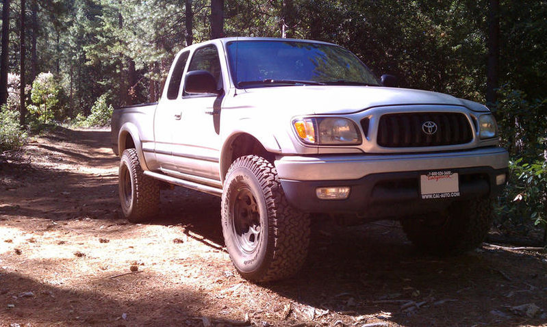 IMAG0231.jpg