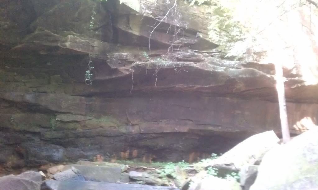 IMAG0236-1_74e0c9c11c22748a1d75a25b3541a15d969e22d4.jpg