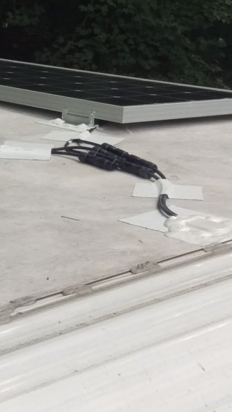IMAG0236.jpg