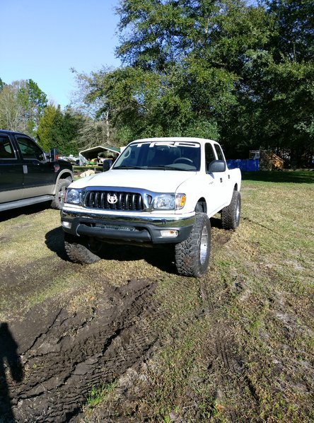 IMAG0239.jpg