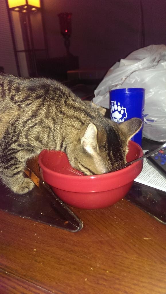 IMAG0240_zpssyb6mcyw_bd960ee61ca44d3c7452c4732f1571bd52416e0b.jpg