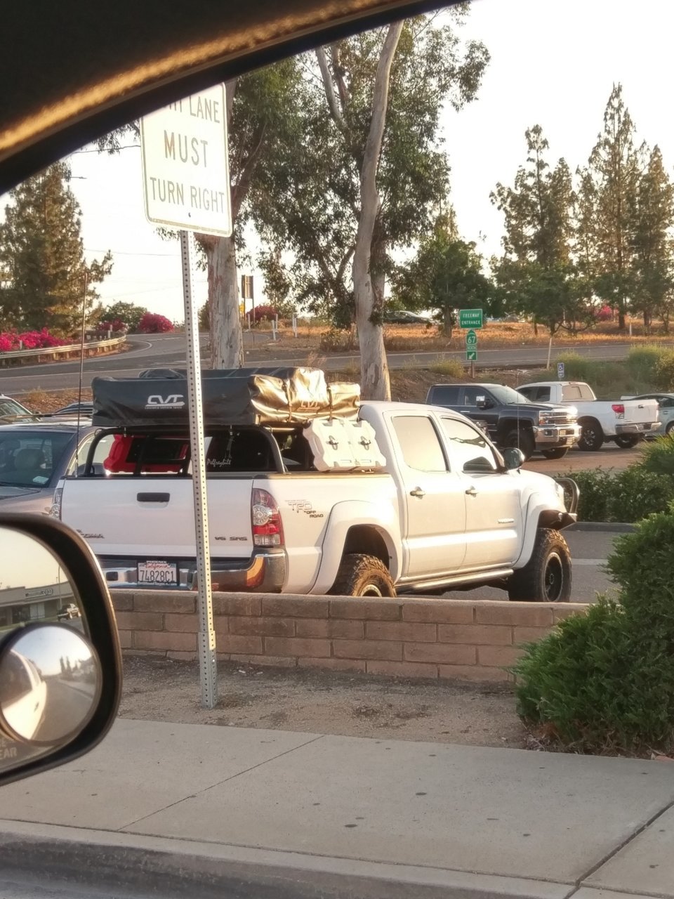 IMAG0245.jpg