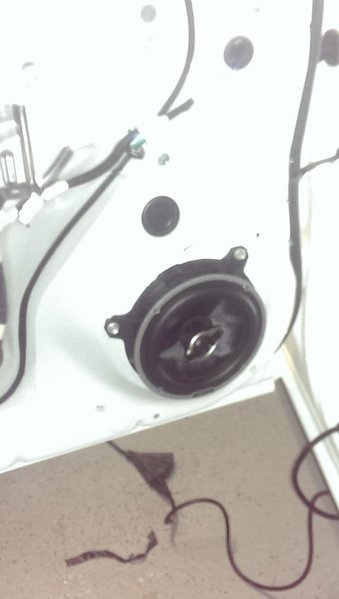IMAG0253.jpg