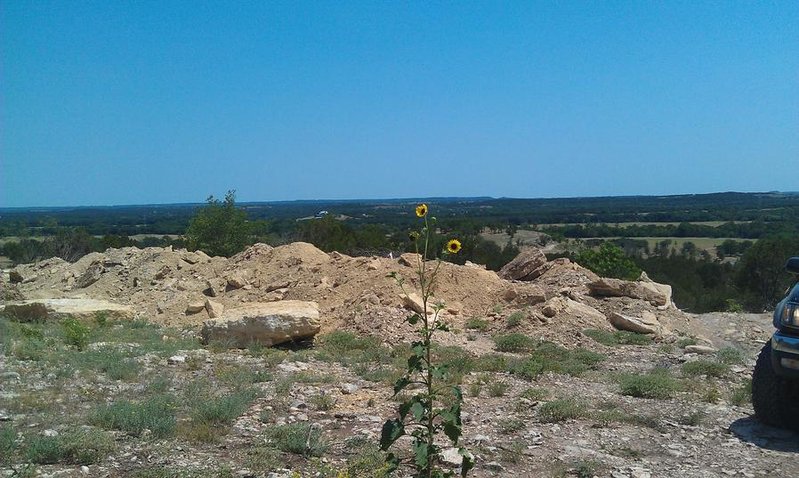 IMAG0266.jpg