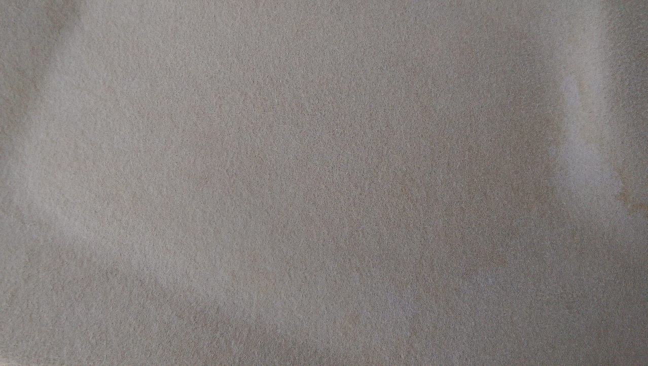IMAG0266.jpg