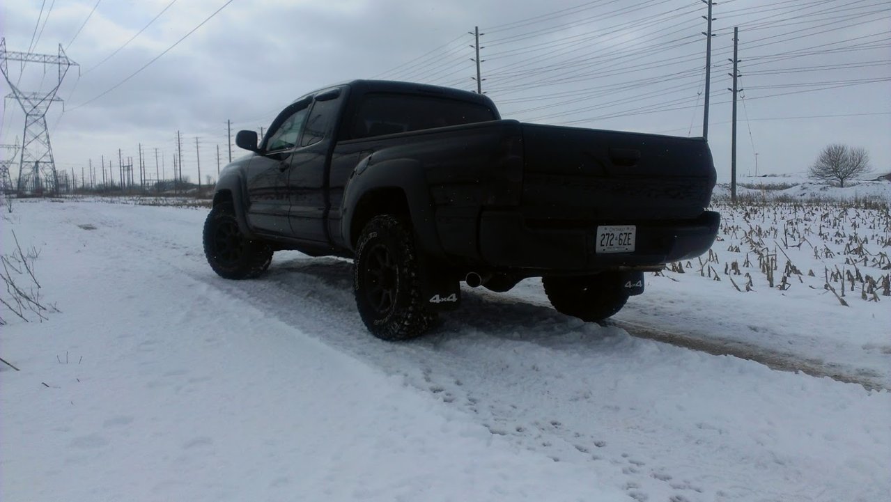 IMAG0272.jpg