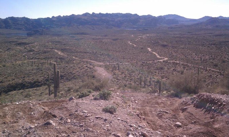 IMAG0274.jpg
