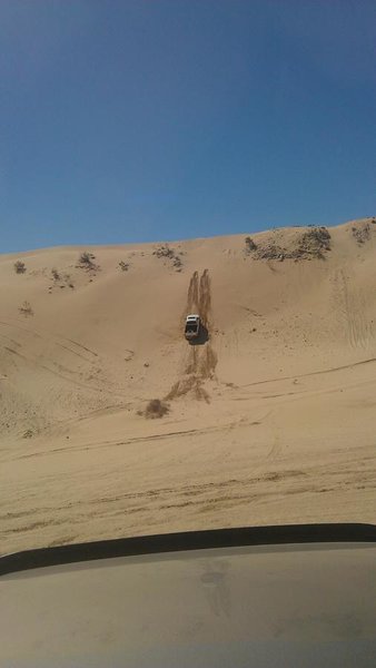 IMAG0276.jpg