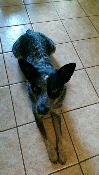 IMAG0277.jpg