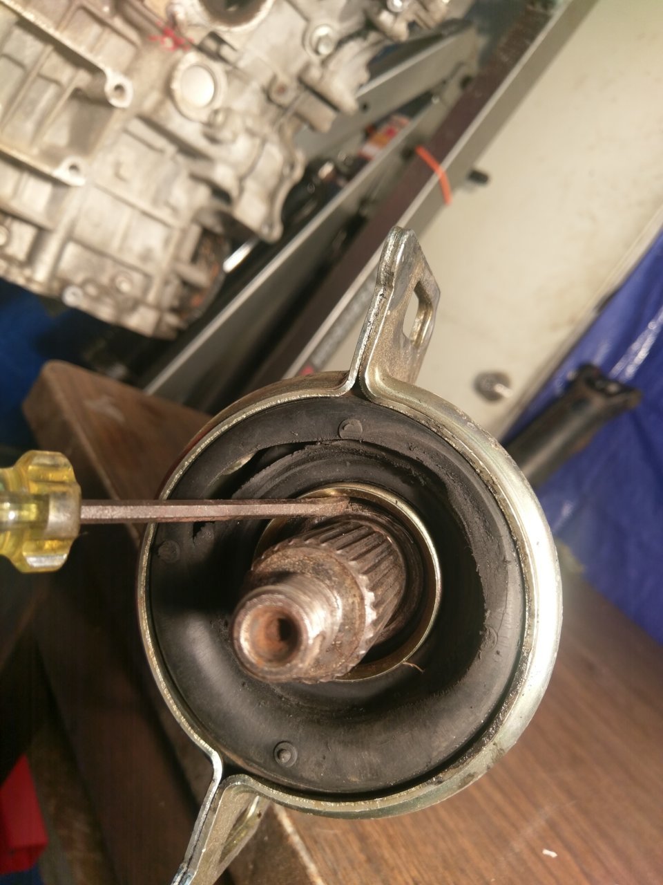 IMAG0292.jpg