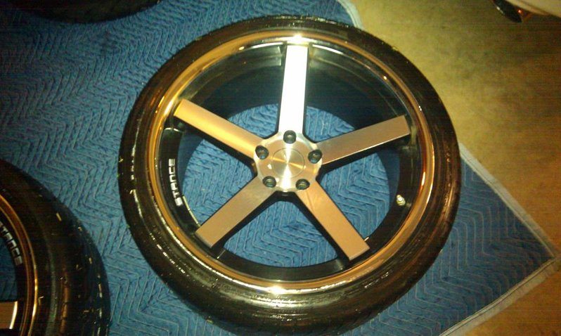IMAG0295.jpg