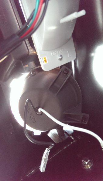 IMAG0305.jpg