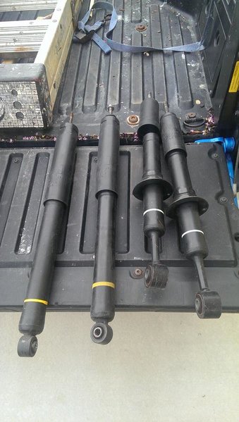 IMAG0308.jpg