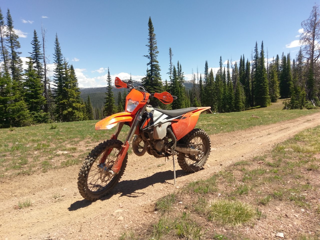 IMAG0317.jpg