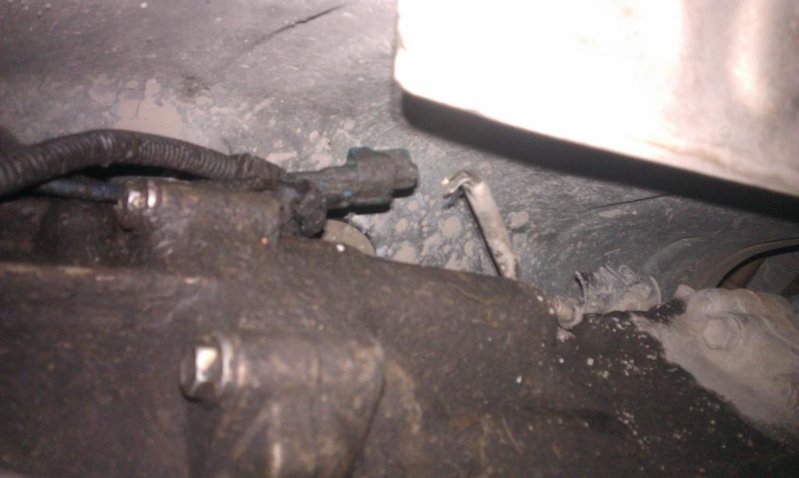 IMAG0317.jpg