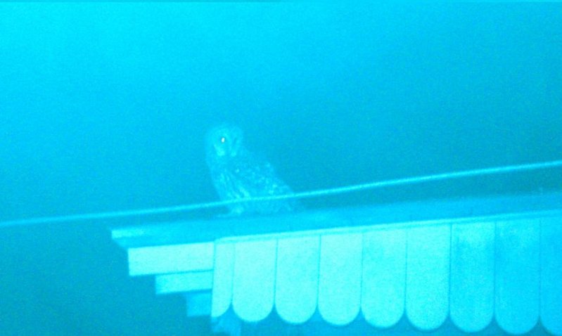 IMAG0327.jpg
