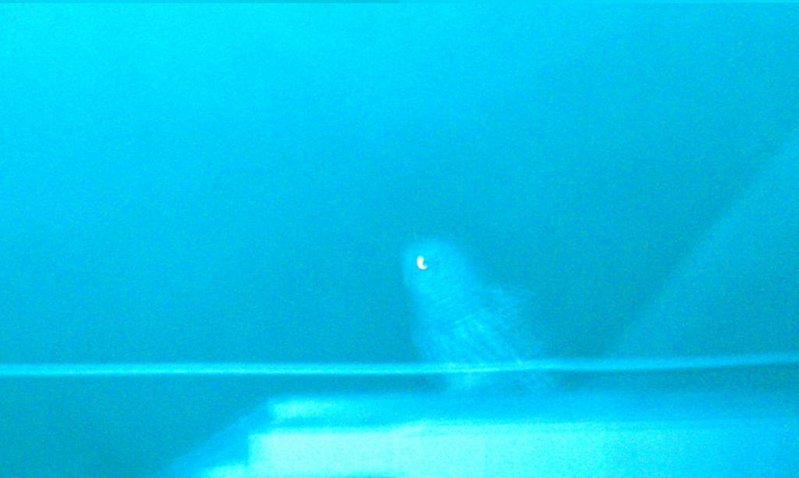 IMAG0329.jpg