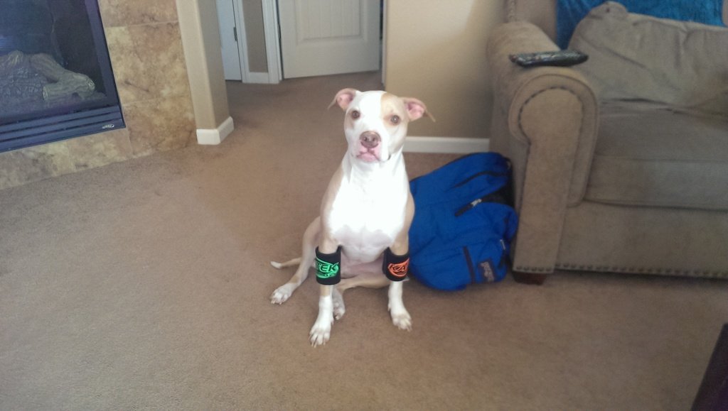 IMAG0335_zpszk39dmxv_d04181f8ac4b787f8dca9f5caff38078548c4961.jpg