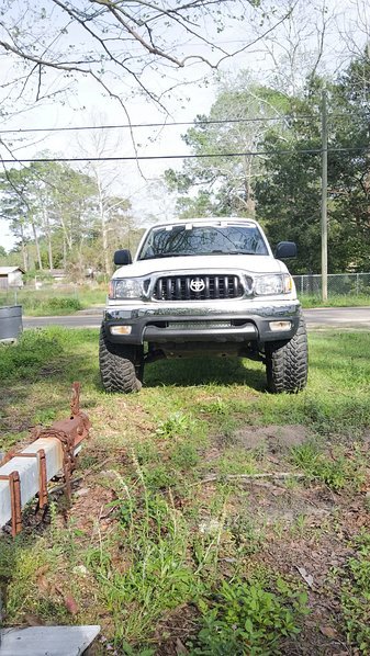 IMAG0339_1.jpg