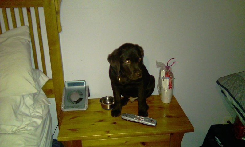 IMAG0341.jpg
