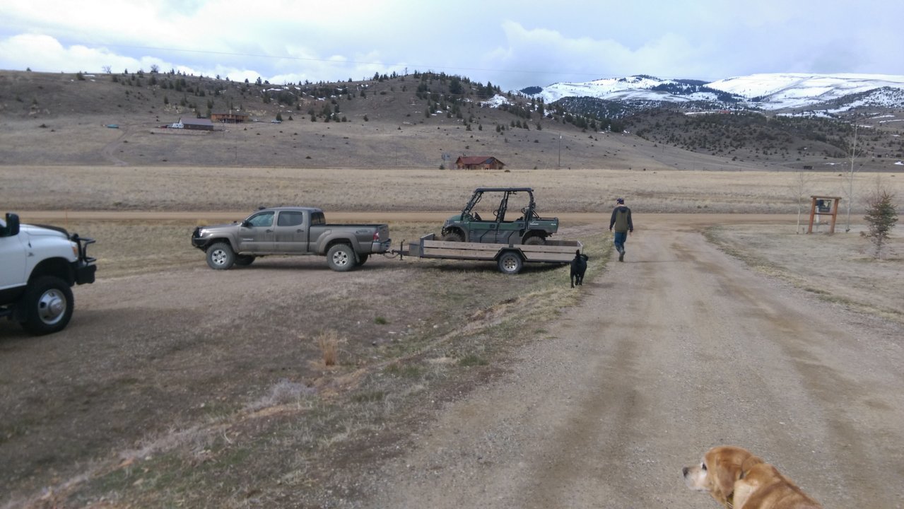 IMAG0344.jpg