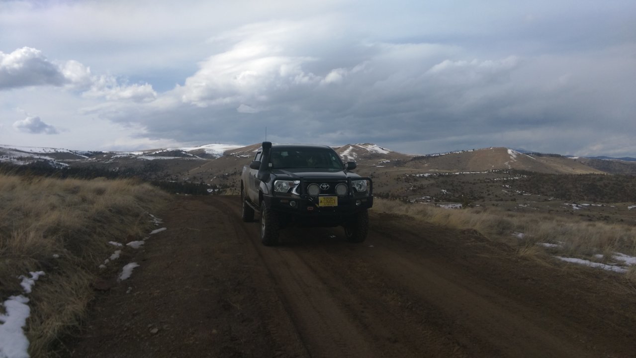 IMAG0345.jpg