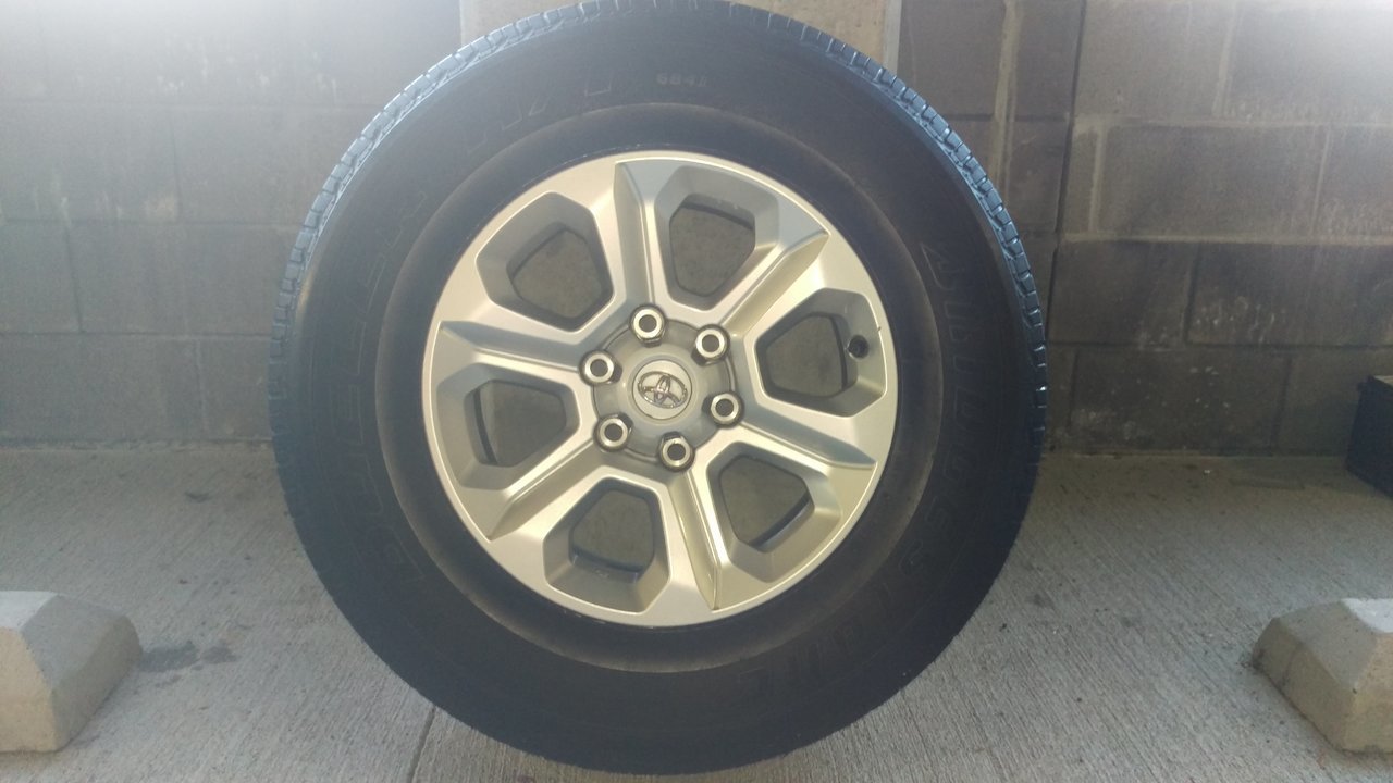 IMAG0348.jpg