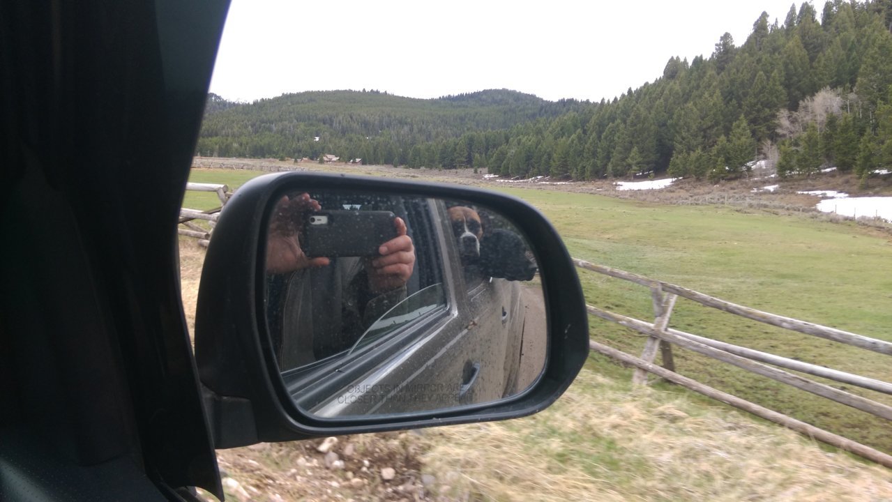 IMAG0355.jpg